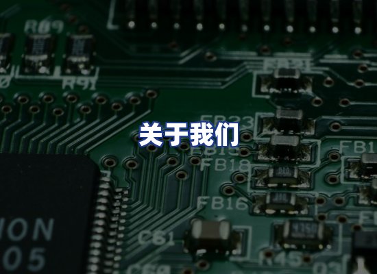 专业团队